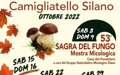 Fungo in sagra Camigliatello Silano (CS) 15-30 ottobre