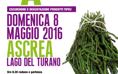 Asparagi selvatici in tavola e festa ad Ascrea il 8 maggio