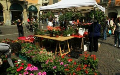 Riso e Rose, il Monferrato (AL) in festa con i suoi prodotti più conosciuti – 5/20 maggio