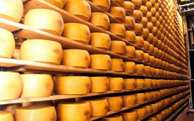 Magnalonga del Parmigiano Reggiano- Castelnovo ne’ Monti (RE) – 7 settembre   