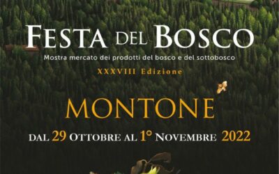 Montone (PG) è Festa del Bosco 29 ottobre – 1 novembre