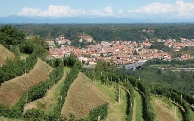 Gattinara (VC) celebra il suo prodotto di punta con la Festa dell’uva – 8/10 settembre