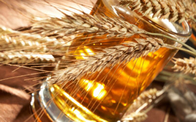 Beer Attraction – Rimini (RN) – dal 21 al 24 febbraio