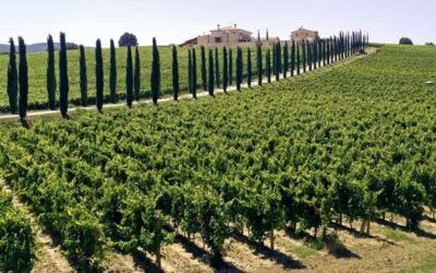 Terre del Sagrantino – Montefalco (PG) – dal 4 al 6 aprile