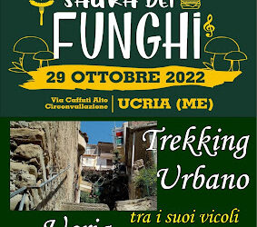 Funghi a Ucria, il paese delle gobbe (Messina) il 29 ottobre