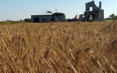 “Sagra te lu ranu”, il grano e la vita contadina protagonisti a Merine (LE) – 14/16 luglio