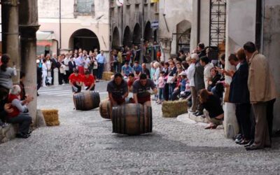 Festa del cedro e Palio delle botti – Bibbona (LI)