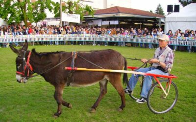 Sagra della campagna, a Pieve Cesato (RA) sapori e profumi di una volta – 28 apr/6 mag