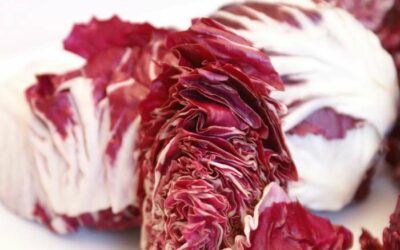 Il radicchio rosso di Mogliano Veneto (TV) in mostra per due giorni – 14/15 dicembre