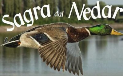 Sagra dal Nedar – San Benedetto Po (MN) Dal 3 al 5 ottobre