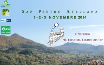 Mostra mercato del tartufo bianco pregiato – San Pietro Avellana (IS) – dall’1 al 3 nov