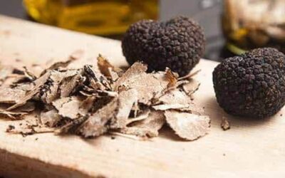 Nella patria del tartufo sardo, Laconi (OR) celebra il suo oro nero – 17 giugno