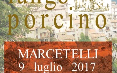 “Sua Maestà” il fungo porcino protagonista a Marcetelli (RI) in un’imperdibile festa – 9 lug