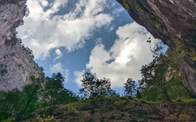 Le Comole di Castel Morrone